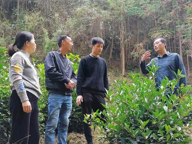 一口亭林饅頭帶你找到家的那份安心