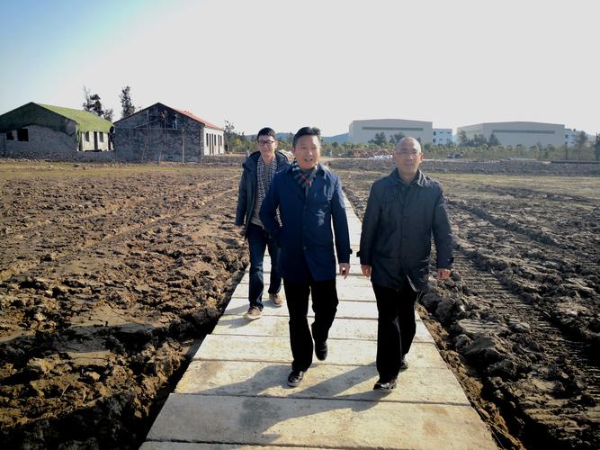 亭林野鴨棲息環境退化與城市化進程的聯系