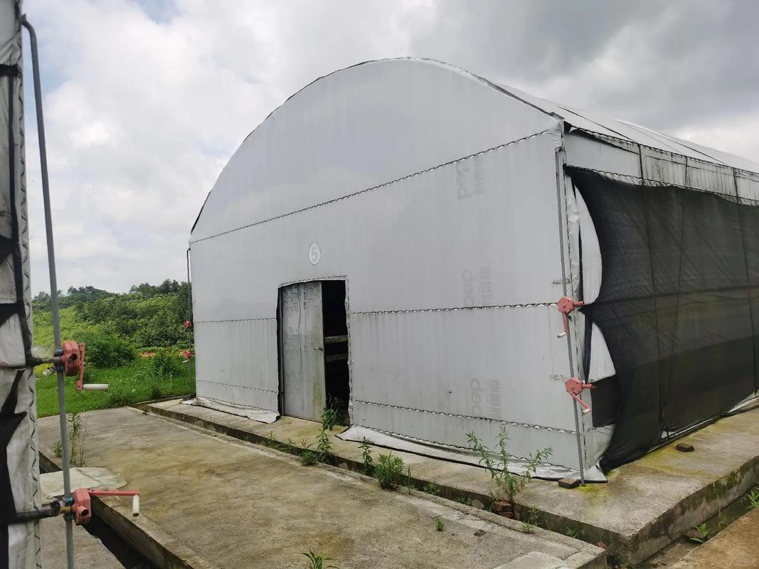 亭林方糕的歷史淵源和它為何成了地方美食象征