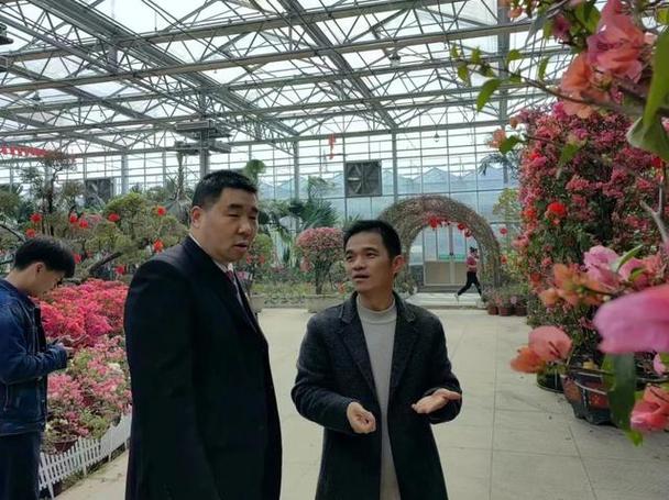 走進亭林方糕的歷史世界探尋其獨特魅力所在