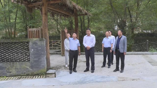 亭林野鴨棲息地保護對區域生態的長遠影響