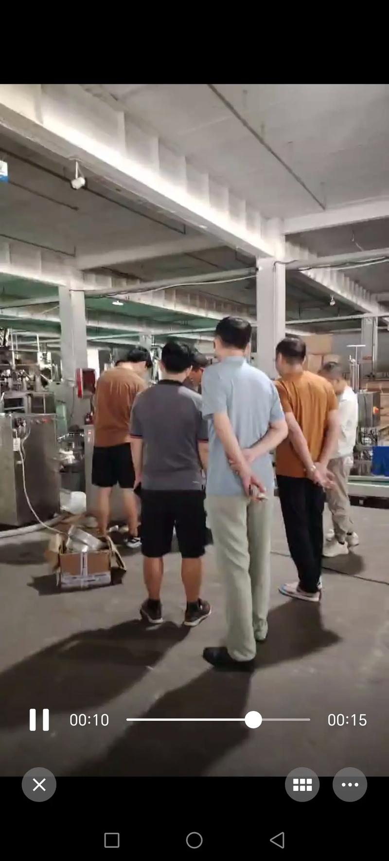 亭林野鴨如何通過遷徙應對季節性氣候變化挑戰