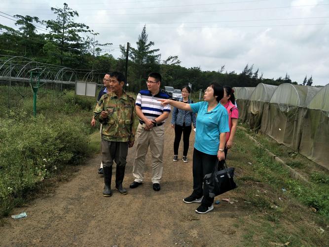 亭林野鴨在氣候變化中的生存策略和適應(yīng)能力