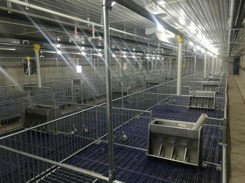 亭林饅頭如何將鮮香與柔軟的味道融入每一口的感動