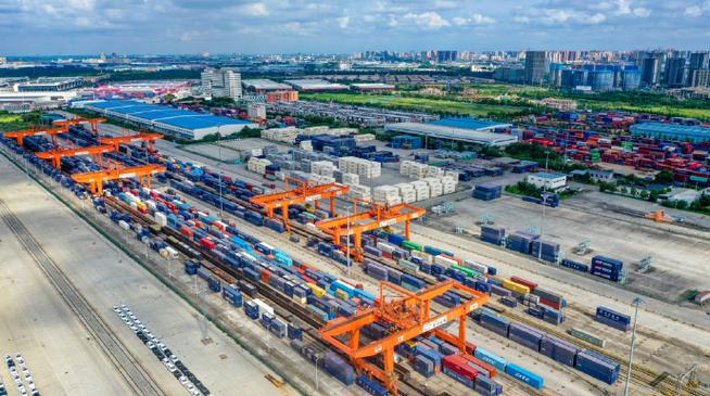 亭林野鴨在食物鏈中的地位與生態平衡分析