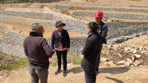 探索多元化保護措施確保亭林野鴨棲息地生態安全