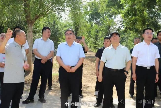 從亭林饅頭解讀上海小吃文化的歷史與未來