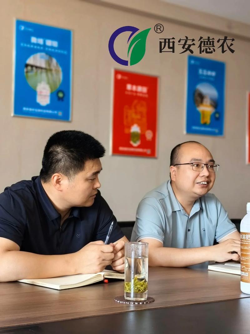 探索傳統(tǒng)文化的精髓選擇亭林月餅禮盒