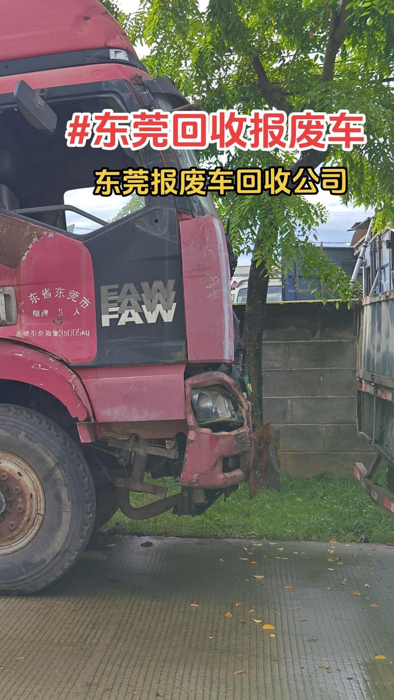 探訪亭林野鴨棲息地感受大自然的寧靜與美麗