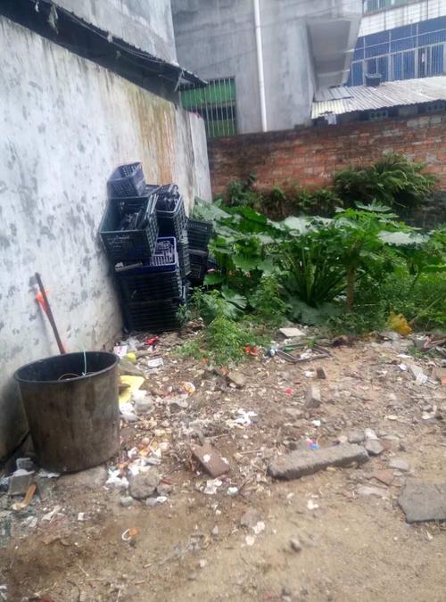 亭林野鴨遷徙與棲息地生態系統影響研究