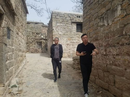 亭林野鴨在濕地保護區中的生態角色與作用分析