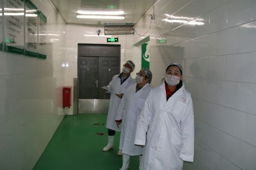 走進亭林饅頭感受上海老字號的傳統美食魅力