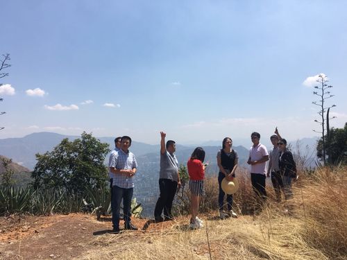 亭林野鴨在濕地食物鏈中的重要地位