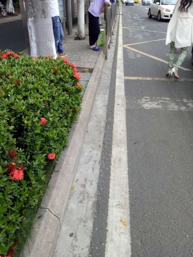 亭林饅頭制作工藝的獨(dú)特之處與技藝傳承