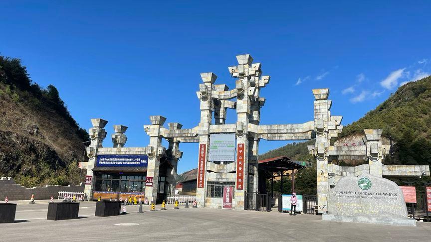 亭林野鴨如何應(yīng)對氣候變化帶來的生存壓力