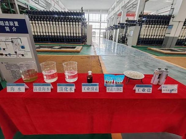 亭林月餅以創(chuàng)新口味打造滿足不同口感需求的產(chǎn)品