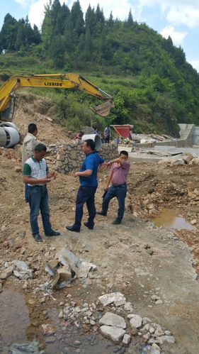 亭林野鴨棲息地保護案例探索與成功路徑分析